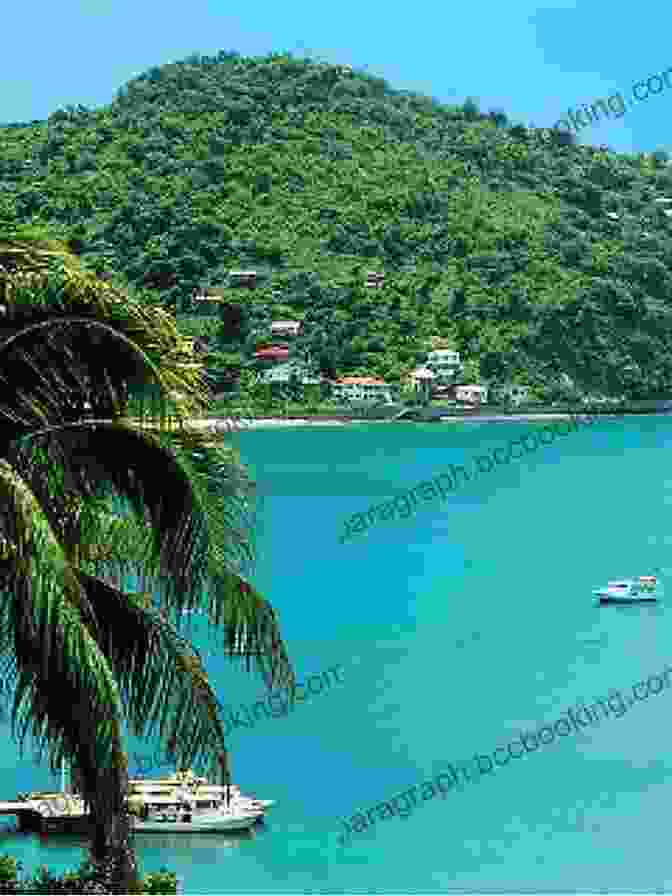 A Breathtaking Vista Of A Lush Island, With Crystal Clear Waters And Vibrant Vegetation Return To The Islands (Fun In The Islands Vol 2)