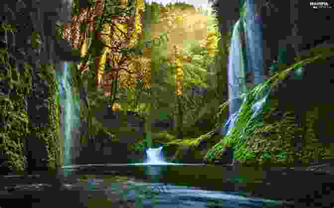 A Captivating Landscape Image Of A Majestic Waterfall Cascading Through A Lush Forest The Best Vision Board Pictures For 2024: Over 300 Powerful Images To Cut And Paste 30+ Magazines Condensed And Categorized Into One Mega Clip Art (Vision Board Supplies)