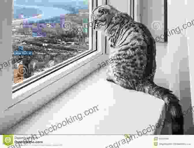A Cat Sitting In A Window Looking Out Over The City Skyline CAT TAILS OF MANHATTAN VOL 3: Lynn Schiffhorst