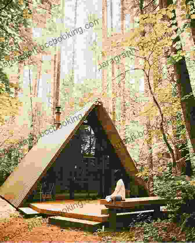 A Cozy Cabin Nestled Amidst A Forested Wilderness Free Spirit: Growing Up On The Road And Off The Grid