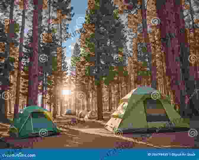 A Cozy Tent Nestled Amidst A Forest Clearing, Surrounded By Vibrant Greenery Moon Colorado Camping: The Complete Guide To Tent And RV Camping (Moon Outdoors)
