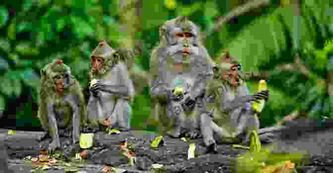 A Group Of Monkeys Playing In The Branches Of A Lush Rainforest Show How Guides: Drawing Animals: The 7 Essential Techniques 19 Adorable Animals Everyone Should Know