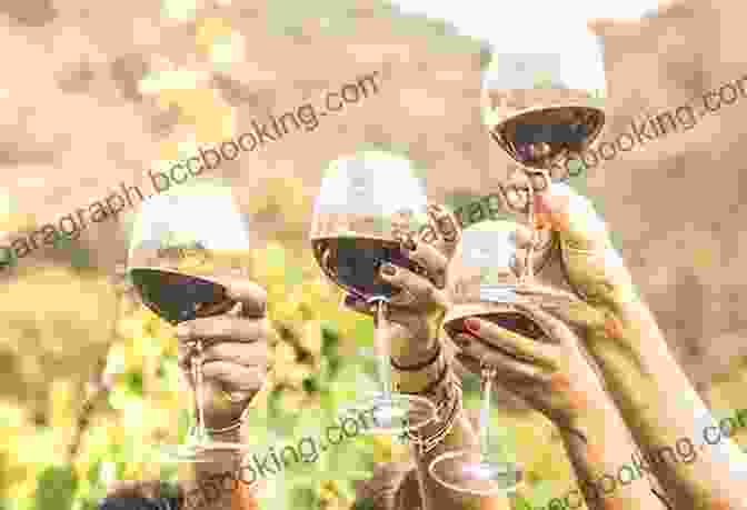 A Group Of People Enjoying Wine Tasting In A Vineyard Ensenada Wine Tour Joseph Toone