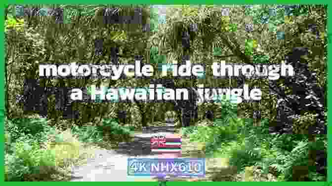 A Motorbike Riding Through A Lush Rainforest Slow Rider: Australia On A Postie Bike And A 125 Cc Motorbike