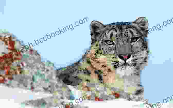 A Photograph Of A Rare Snow Leopard In Its Mountain Habitat, Highlighting The Importance Of Conservation Show How Guides: Drawing Animals: The 7 Essential Techniques 19 Adorable Animals Everyone Should Know