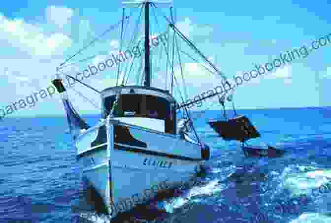 A Shrimper Hauling In His Nets Key West: Shrimper Sailor Sponger Spy