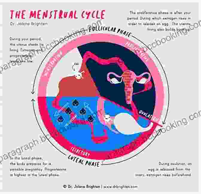 A Woman Embracing Her Menstrual Cycle And Connecting With Her Feminine Power Conceive: A Heroine S Journey To Awaken Natural Fertility
