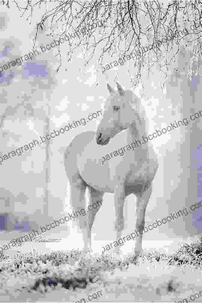 A Young Girl Standing Next To A Beautiful White Horse In A Snowy Field The Magical Christmas Horse Mary Higgins Clark
