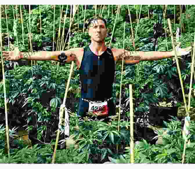 Athletes Using Cannabis For Recovery, Performance Enhancement, And Pain Management Runner S High: How A Movement Of Cannabis Fueled Athletes Is Changing The Science Of Sports