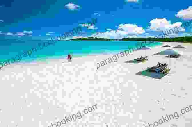 Diamond Lil Posing On A White Sandy Beach In The Bahamas Diamond Lil Does The Bahamas: The Captain S Log (Diamond Lil 2)