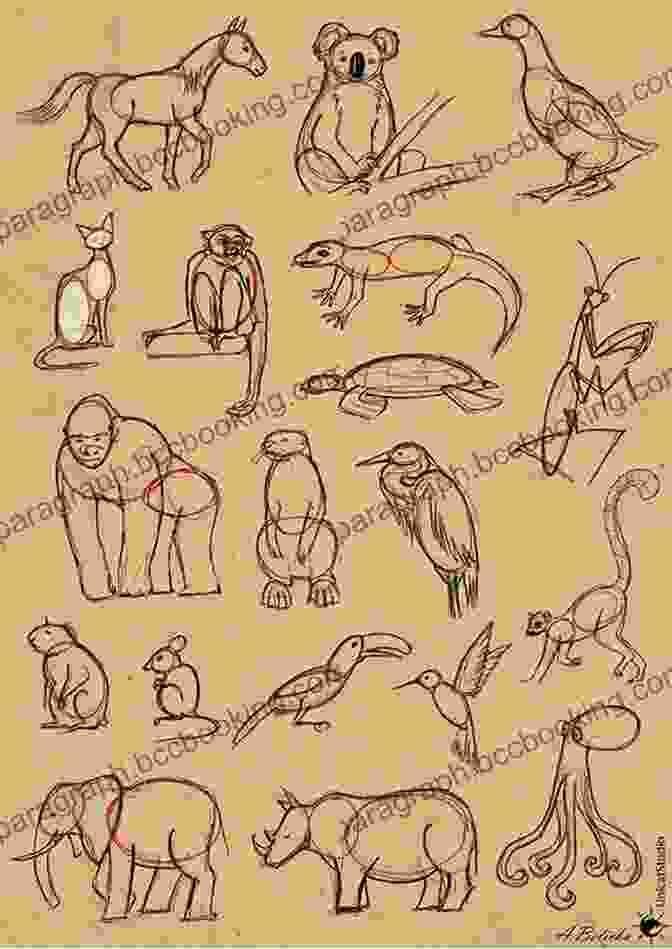 Drawing Techniques For Animals Animals Drawing And Sketch