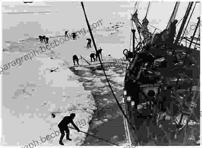 James McNeish, Forgotten Hero Of Shackleton's Endurance Expedition Ice Captain: The Life Of J R Stenhouse: A Forgotten Hero Of Shackleton S Endurance Expedition
