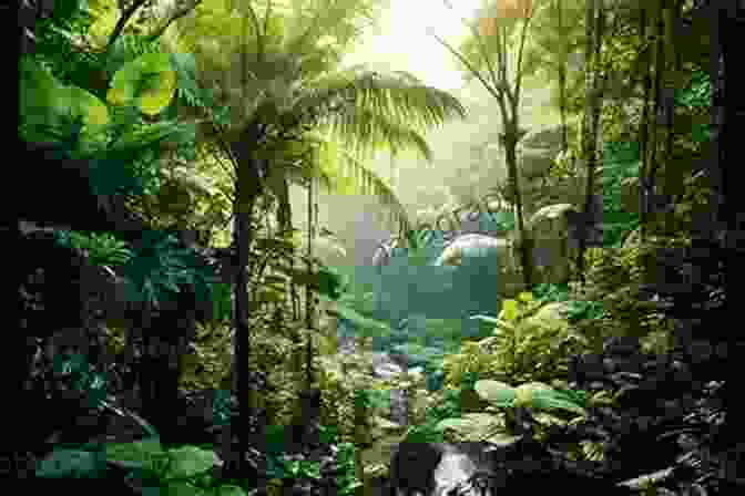 Lush Rainforest With Towering Trees And Dense Undergrowth MOM DAD I WANT TO EXPLAIN TO YOU ABOUT THE EARTH: THE PLANET WHERE WE LIVE