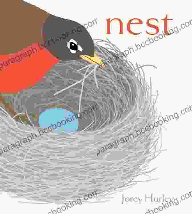 Oliver Birthday And The Robin Nest Book Cover Featuring A Curious Boy And A Hidden Bird's Nest Oliver S Birthday And The Robin S Nest
