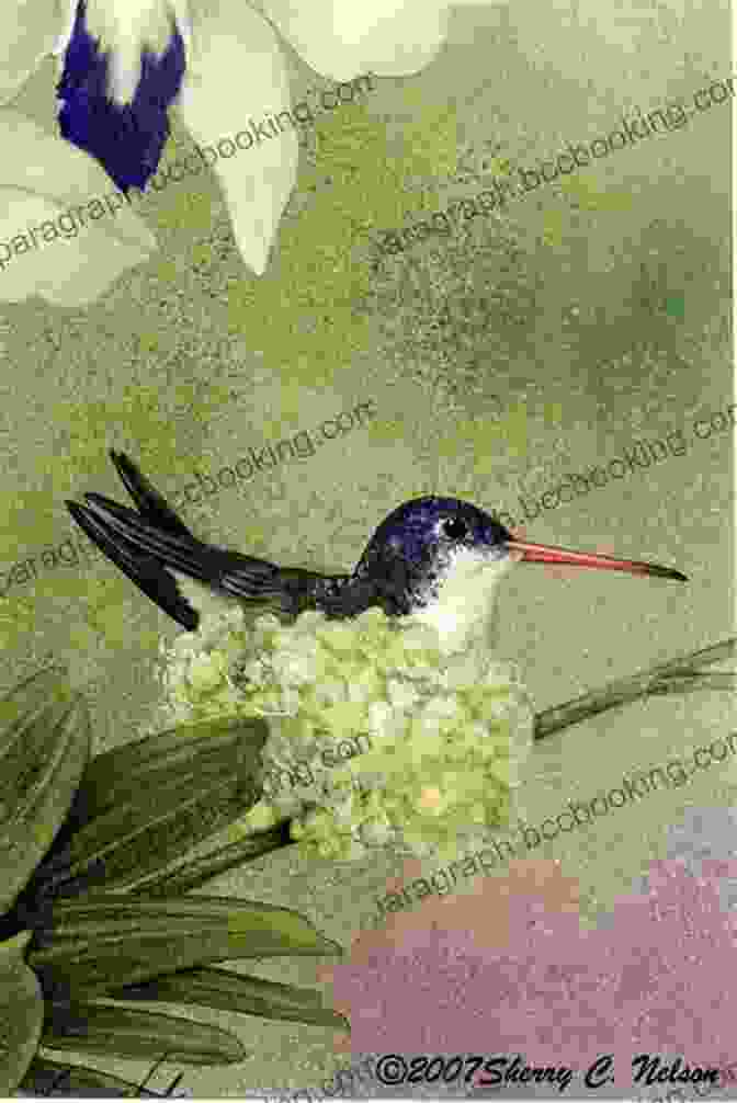 Painting Of A Hummingbird By Sherry Nelson Mda Painting Garden Animals With Sherry C Nelson MDA (Decorative Painting)