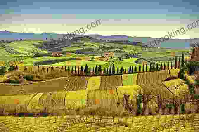 Panoramic View Of Rolling Hills, Vineyards, And Cypress Trees In Tuscany, Italy Visit Italy With Gabrielle Volume 2