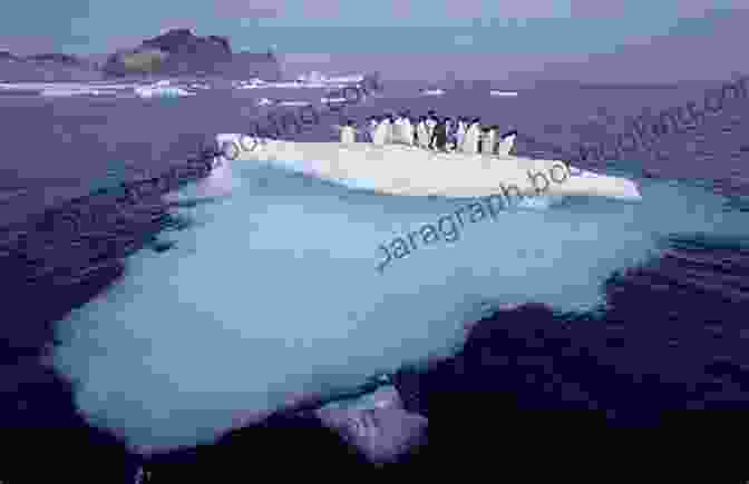 Penguins On An Ice Floe In Antarctica Worldwide Adventures By Boat And Ship: Europe Arctic North America Oceania Australia And Antarctica
