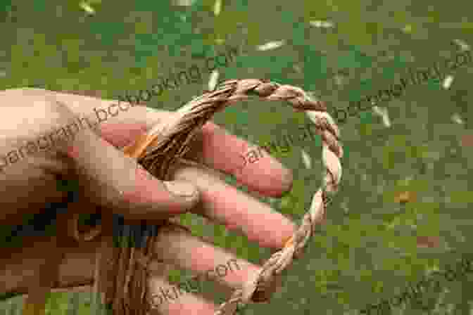 Person Practicing Cordage Making Surviving The Wild: Essential Bushcraft And First Aid Skills For Surviving The Great Outdoors (Wilderness Survival)