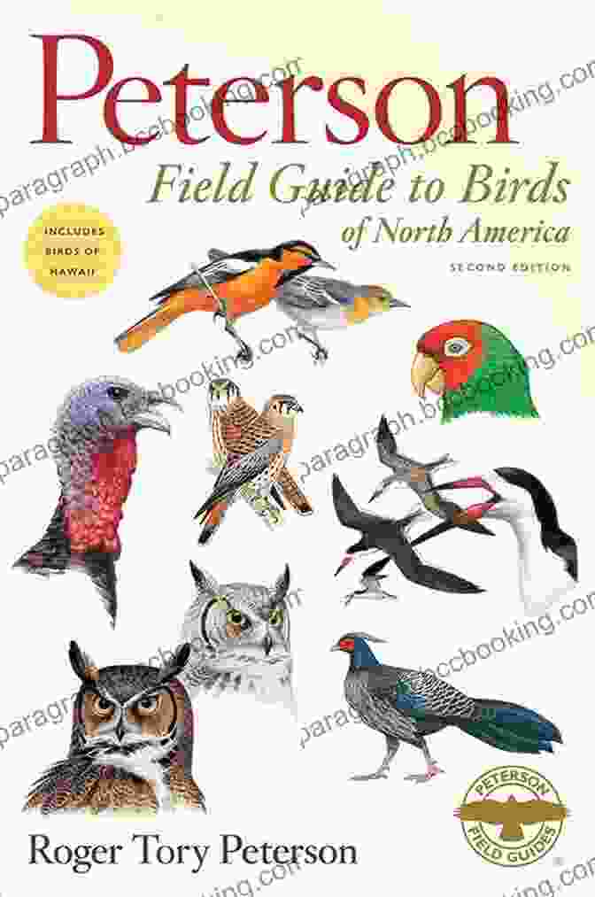 Peterson Field Guide To Birds Of North America Second Edition Peterson Field Guide To Birds Of North America Second Edition (Peterson Field Guides)