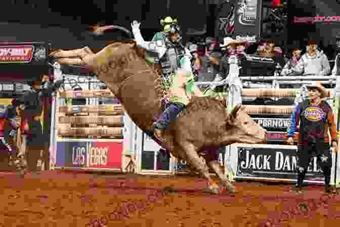 Professional Bull Rider Sitting Atop A Massive Bull, Showcasing The Bond And Respect Between Riders And The Animals They Compete Against. Fried Twinkies Buckle Bunnies Bull Riders: A Year Inside The Professional Bull Riders Tour