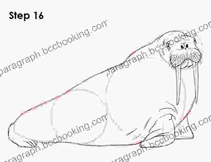 Step 1: Draw The Basic Shape Of The Walrus's Body And Head. How To Draw: Polar Animals: In Simple Steps
