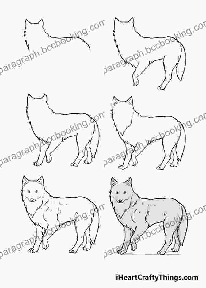 Step 1: Sketch The Basic Shape Of The Arctic Fox's Head And Body. How To Draw: Polar Animals: In Simple Steps