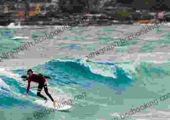 Surfing On Bondi Beach CHEERS MATE : WALKABOUT IN AUSTRALIA