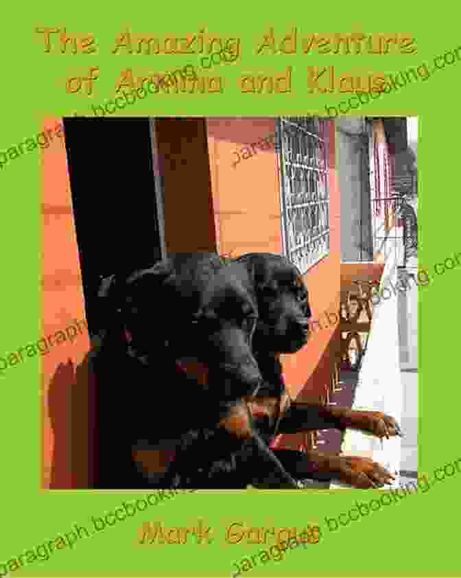 The Continuing Adventure Of Armina And Klaus