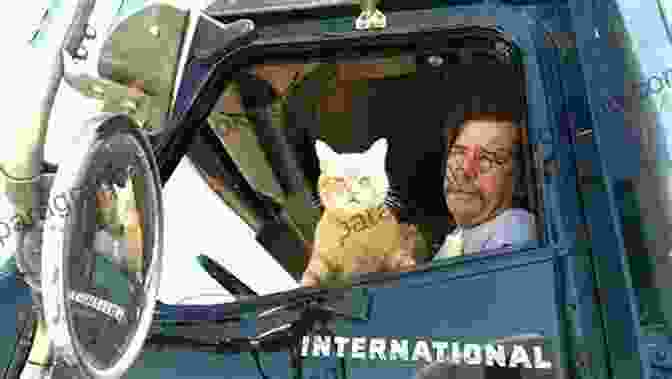 Trucker And His Cat Sleeping In The Truck Spirit Of The Road: The Life Of An American Trucker And His Cat
