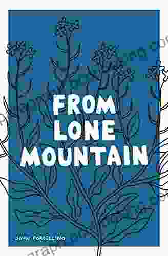 From Lone Mountain John Porcellino