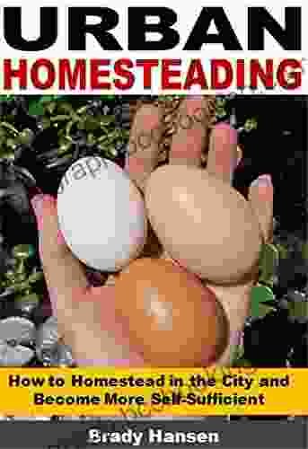 Urban Homesteading: How To Homestead In The City And Become More Self Sufficient