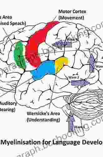 Language And The Brain: A Slim Guide To Neurolinguistics