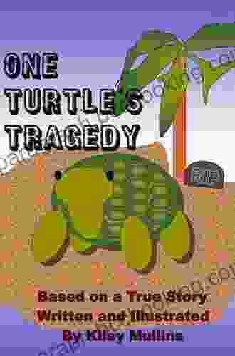 One Turtle S Tragedy Steve Jenkins
