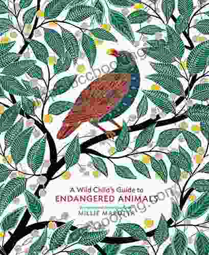 A Wild Child S Guide To Endangered Animals: (Endangered Species Wild Animal Guide About Animals Plant And Animal Animal Art Books)